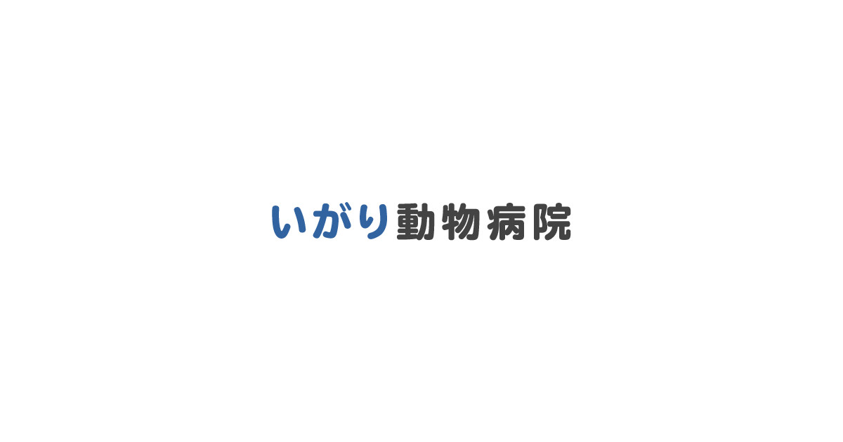 有限会社いがり動物病院