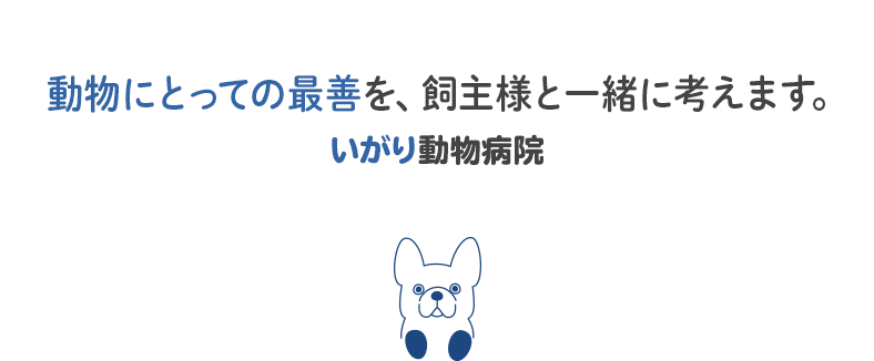 飼い主様・動物にとっての最善を一番に考える病院 いがり動物病院