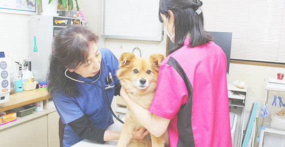 気軽に相談ができる主治医