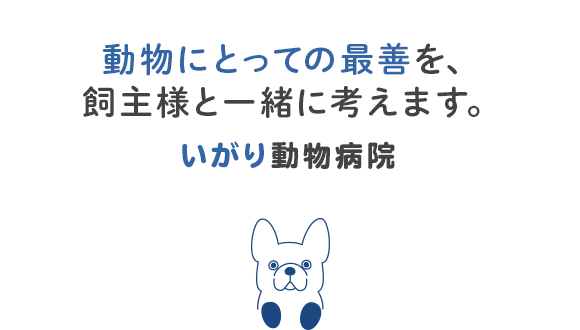 飼い主様・動物にとっての最善を一番に考える病院 いがり動物病院